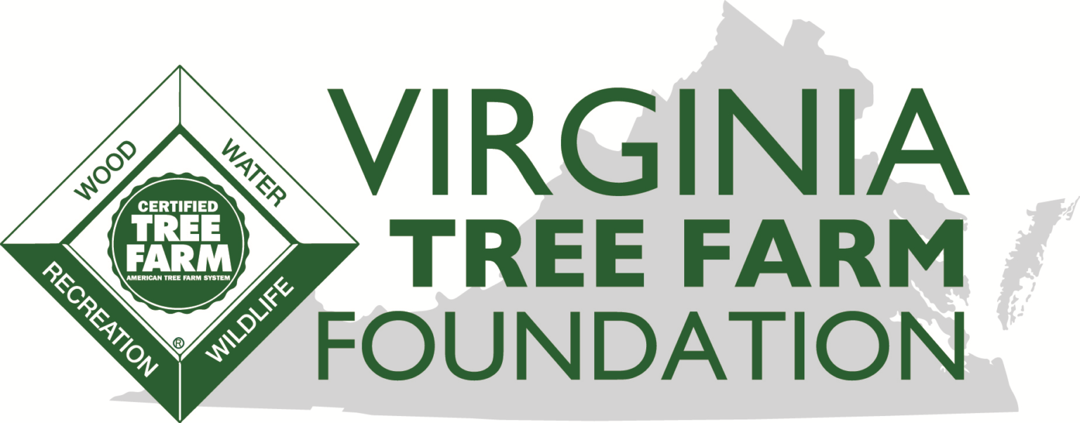 Helping Shape the Future of Forestry in Virginia The Virginia