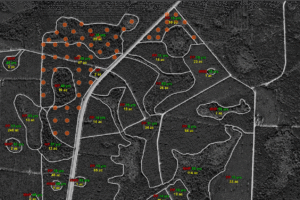 forest inventory plots map